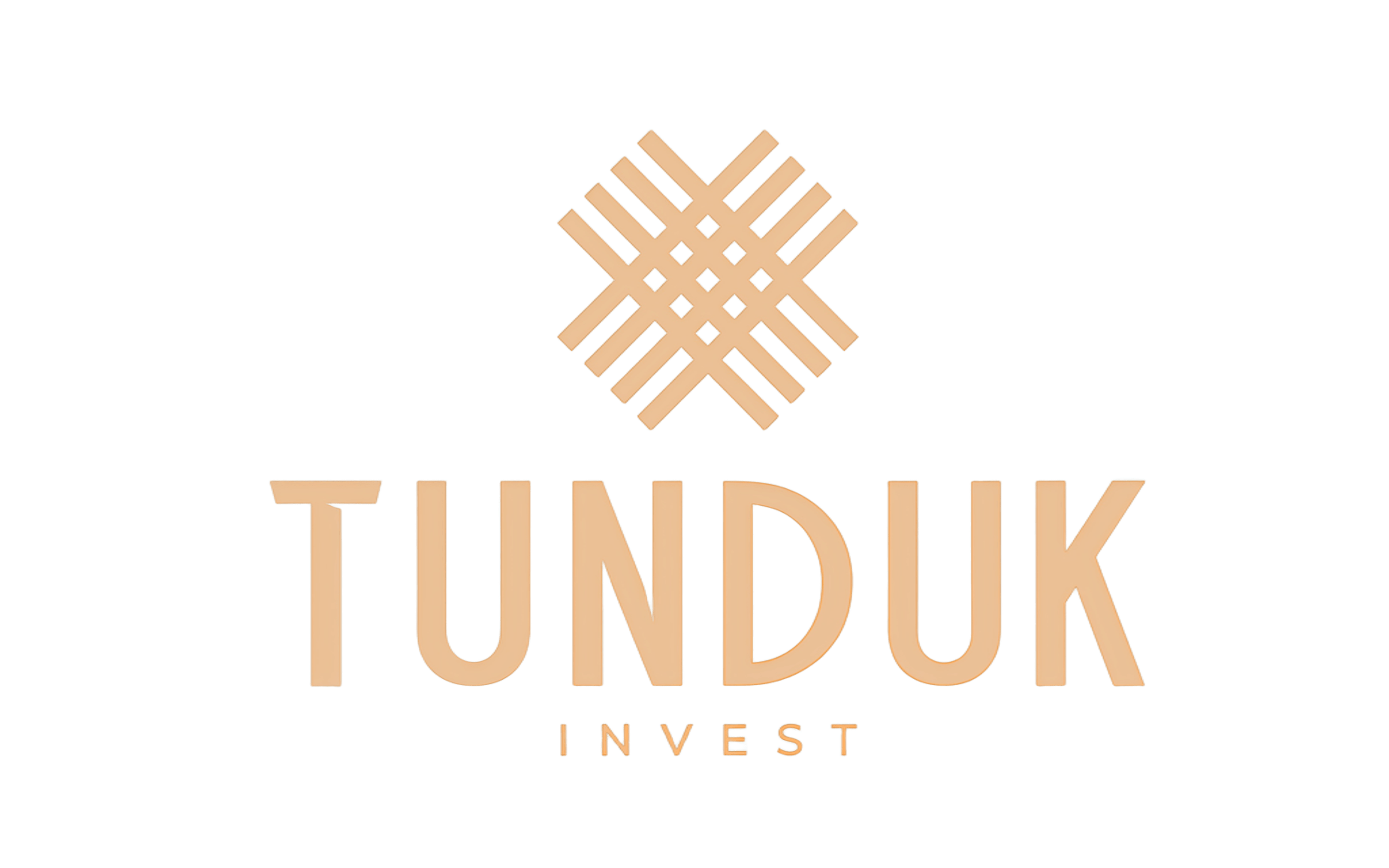 Tunduk Invest Logo